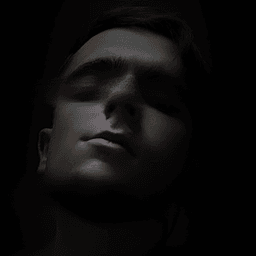 the_artemii avatar