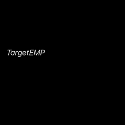 TargetEMP avatar