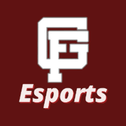 gfc_esports avatar