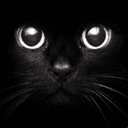 EWROON avatar