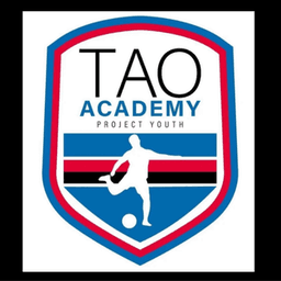 taoacademy2025 avatar