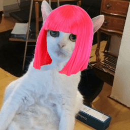 Pixella5000 avatar