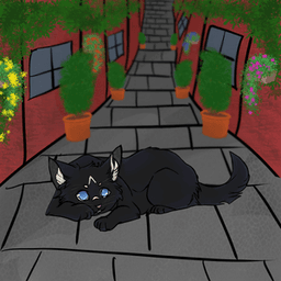 justallyycat avatar