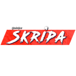 skripa_surock avatar