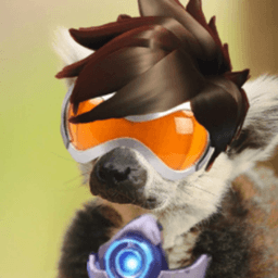 RoyFocker451 avatar