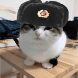 TheGamingCat_ avatar