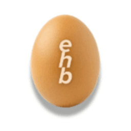 eggshamsbacons avatar