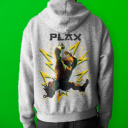 PLAXN4 avatar
