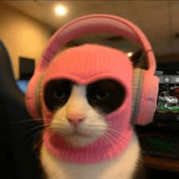 dsh_ch avatar