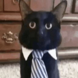 uncle_cat3 avatar