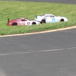 rex25911 avatar