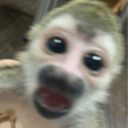 kissmeuwu avatar