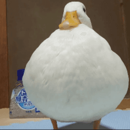AVeryFatDuck avatar