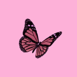 DoubleRL_ avatar