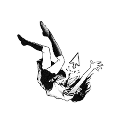 sonneidfc avatar