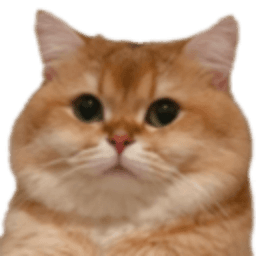 CatFishXP avatar