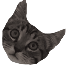 p0uito avatar