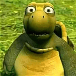turtleeepvp avatar