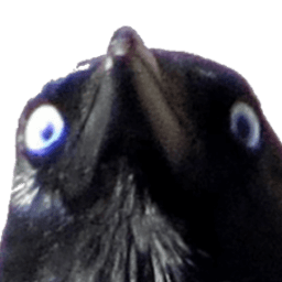 crowy0 avatar