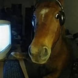 king0smar avatar
