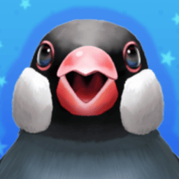 おかもとバーチャル文鳥 avatar