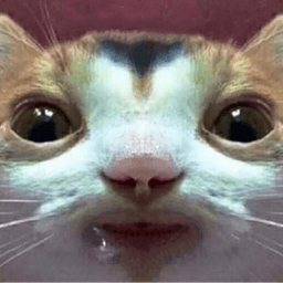 joeydangg avatar