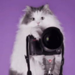 makotocamera avatar