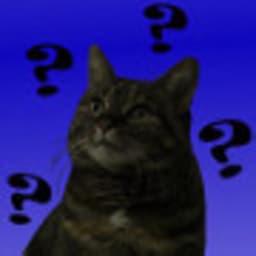 ForgetfulCat avatar