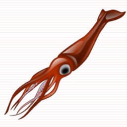 GelatoSquid avatar