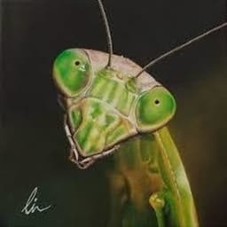 gustamantis avatar
