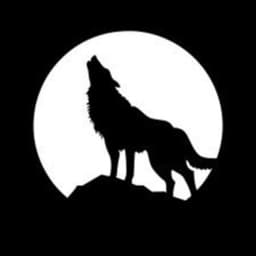 LoboFurioso avatar