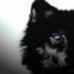 Lunalight_ avatar