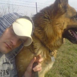 MasonMastifdog avatar