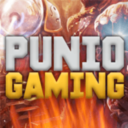 puniogaming avatar