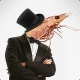 Shrimpocalypse avatar