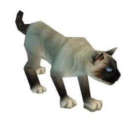 TarkeCat avatar